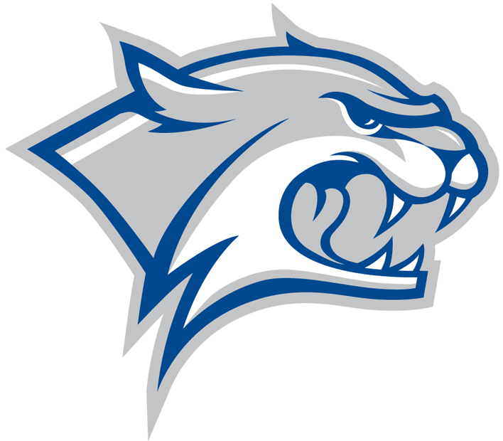New Hampshire Wildcats 2000-Pres Partial Logo diy fabric transfer